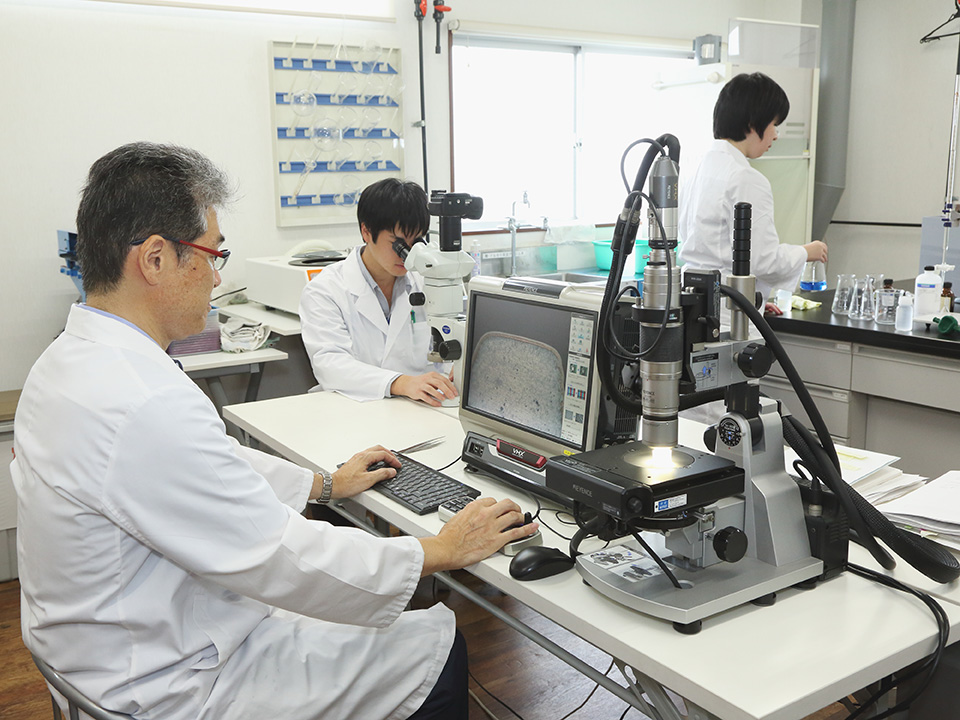 株式会社シルベック　IMPA